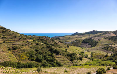 Investir Argeles Collioure : où réaliser un investissement locatif ?