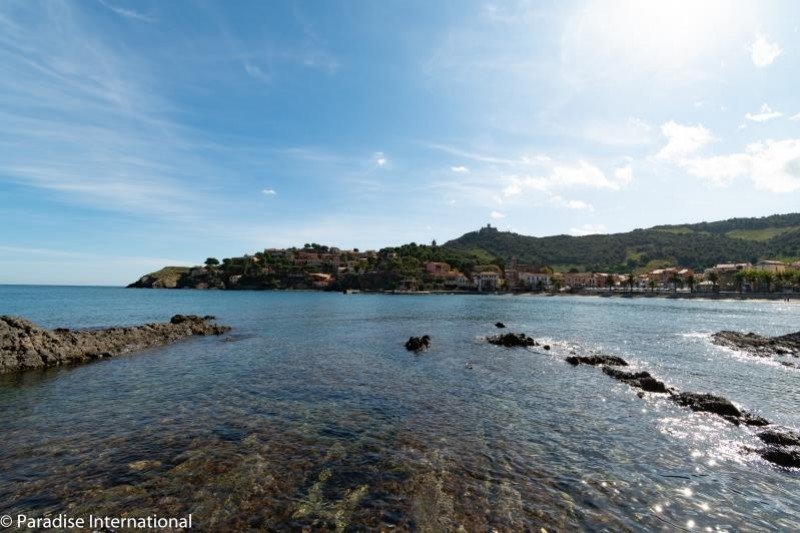 Collioure apartment type 3 hyper center, super rentalibility possible with Airbnb