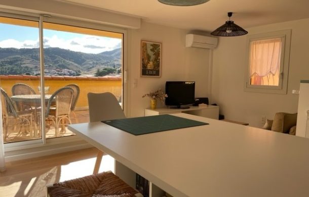 Apartment for sale large terrace Collioure