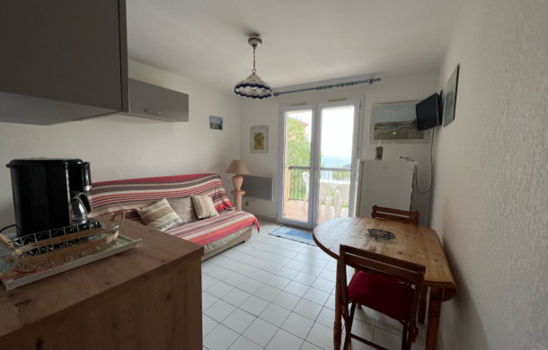 Appartement deux pieces proche plage Collioure