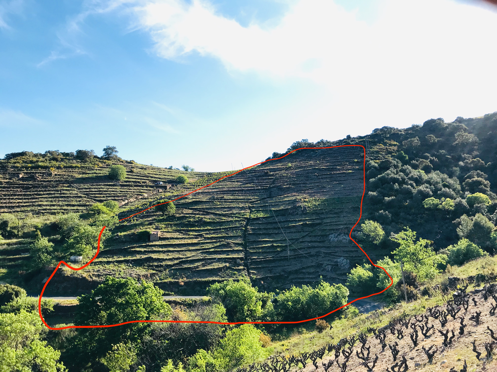 Vines and casot for sale Collioure