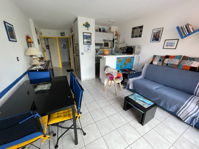 2 room apartment terrace parking Collioure
