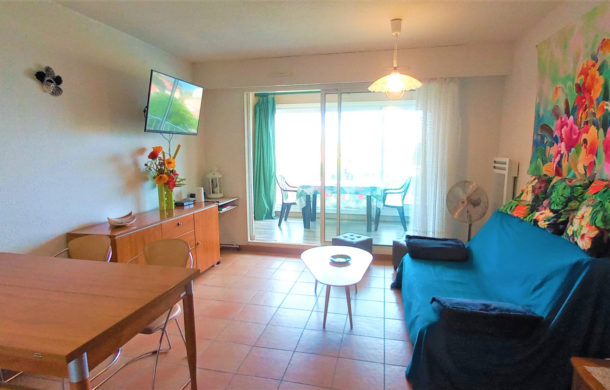 Apartment with garage Collioure