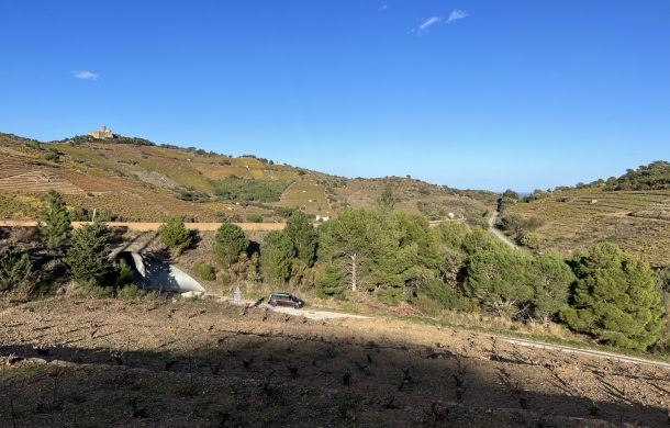 Plot of Vines to buy Collioure
