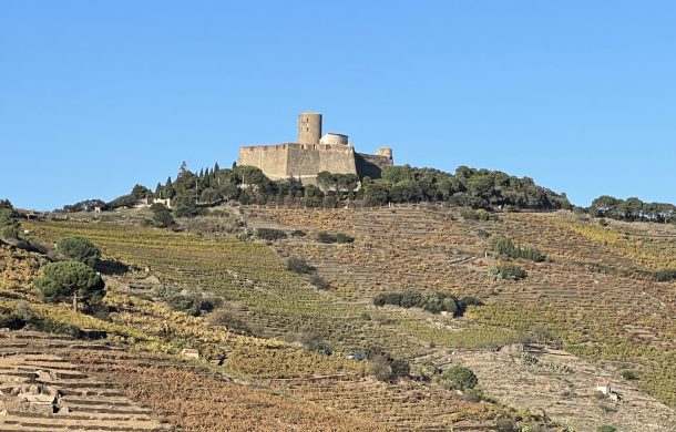 Plot of Vines to buy Collioure