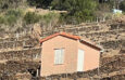 In Collioure, vineyard of 15 830 m2 and casot to buy