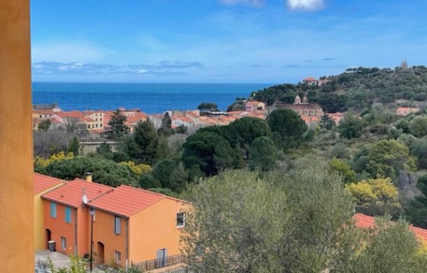 appartements contemporains à vendre à Collioure