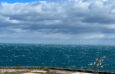 T1 sea view for sale Collioure