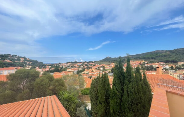 Beautiful villa in Collioure