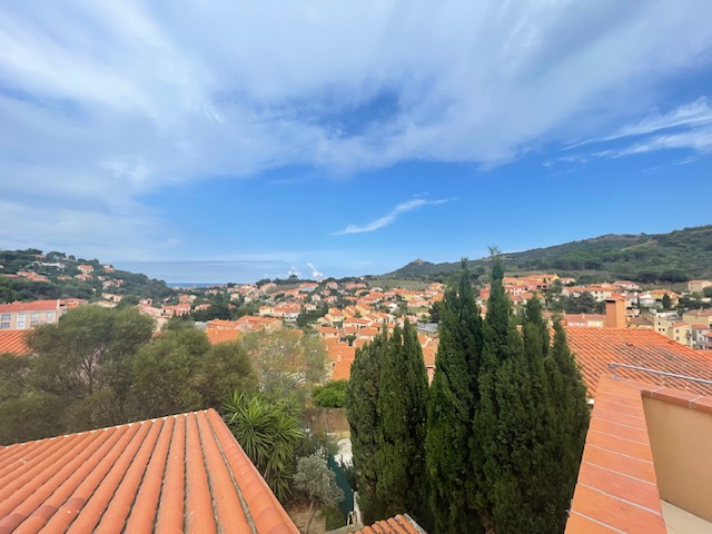 Tres belle villa à Collioure