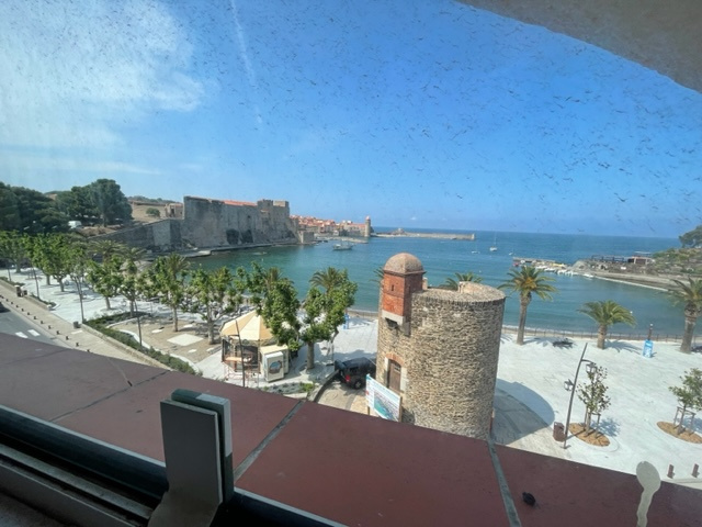 In Collioure, view of Collioure bay