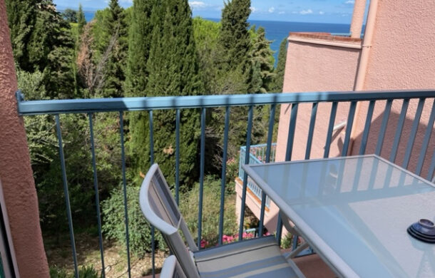 Appartement avec terrasse vue mer