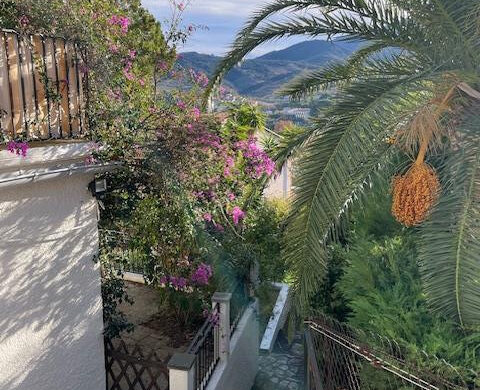 Collioure – 2 appartements a vendre