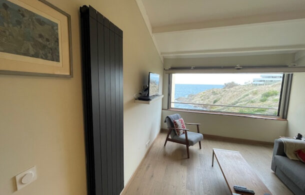 Appartement deux pièces face à la mer à vendre proche Collioure