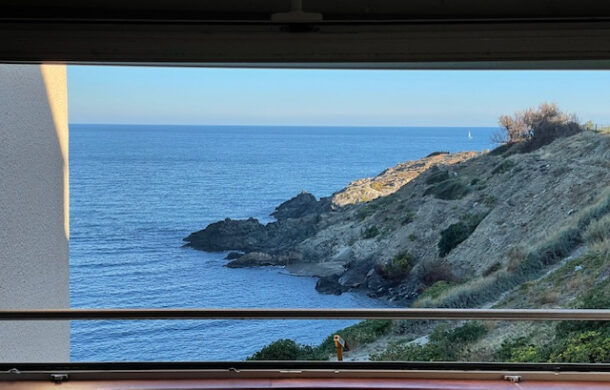 Appartement deux pièces face à la mer à vendre proche Collioure