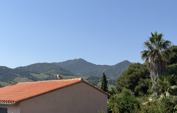 Superbe maison terasse garage tout proche du centre de Collioure