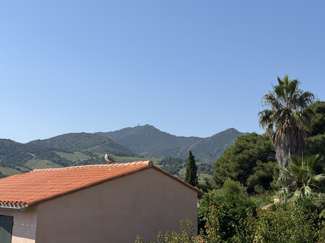 Superbe maison terasse garage tout proche du centre de Collioure