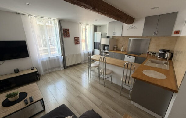 Collioure grand appartement duplex avec jardin