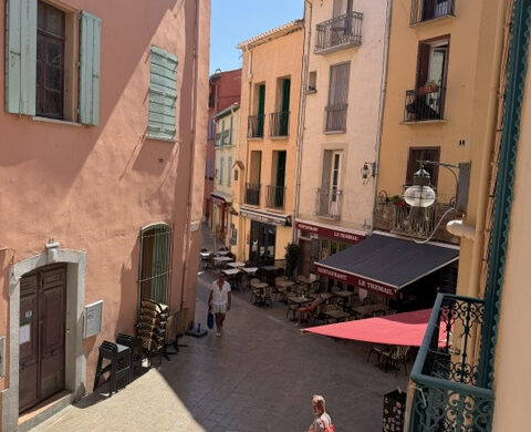 Appartement bourgeois en plein centre de Collioure