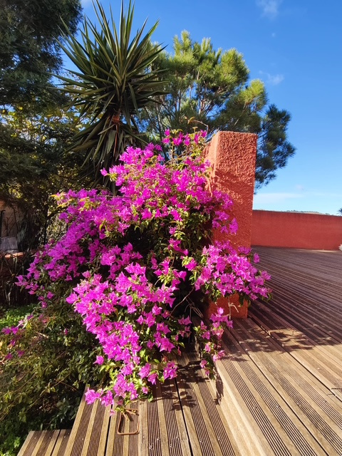 Port-Vendres : villa avec terrasse 3 pièces à acheter