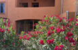 En vente à Collioure : immobilier de prestige : maison avec terrasses jardin et parking