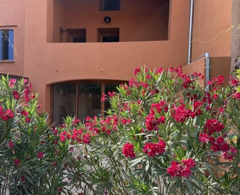 En vente à Collioure : immobilier de prestige : maison avec terrasses jardin et parking