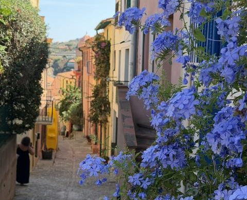 Maison de pêcheur à vendre dans le vieux Collioure