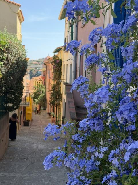 Maison de pêcheur à vendre dans le vieux Collioure