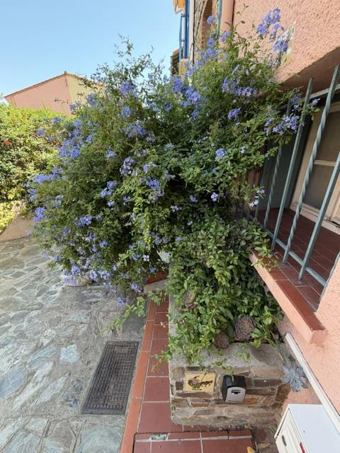 Maison de pêcheur à vendre dans le vieux Collioure